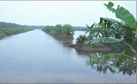 cưỡng chế đất Hải Phòng