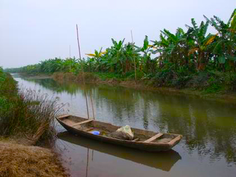 kiểm tra sử dụng đất ven sông, ven biển