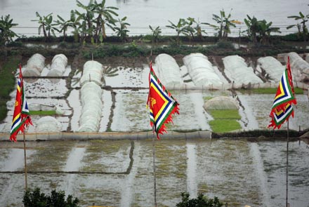 Đền Trần Thái Bình