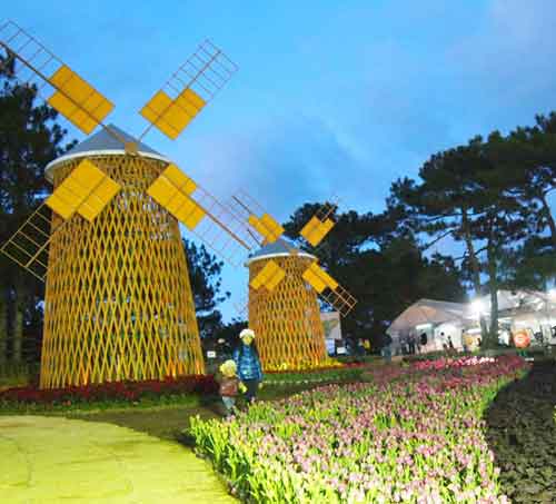 Festival-hoa-da-lat-2012