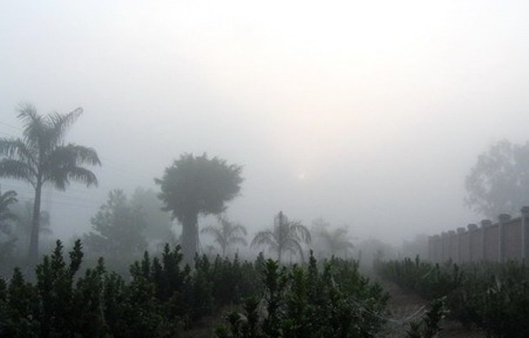 Hà Nội trong sương