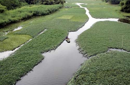 Việt Nam