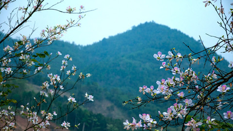 Tây Bắc