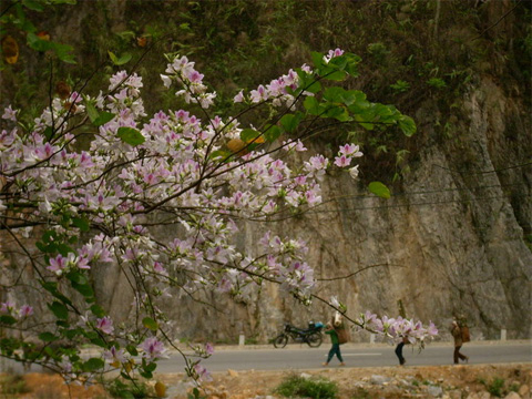 Tây Bắc