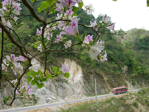 Tây Bắc