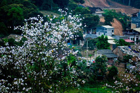 Tây Bắc