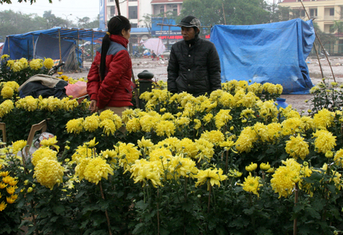 Hội chợ hoa Xuân