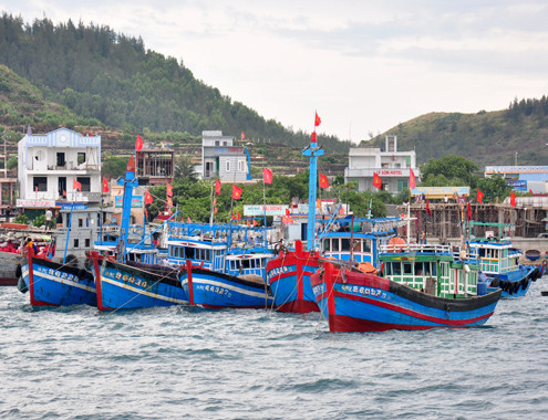 Đảo Lý Sơn: được mùa xây dựng BĐS du lịch 