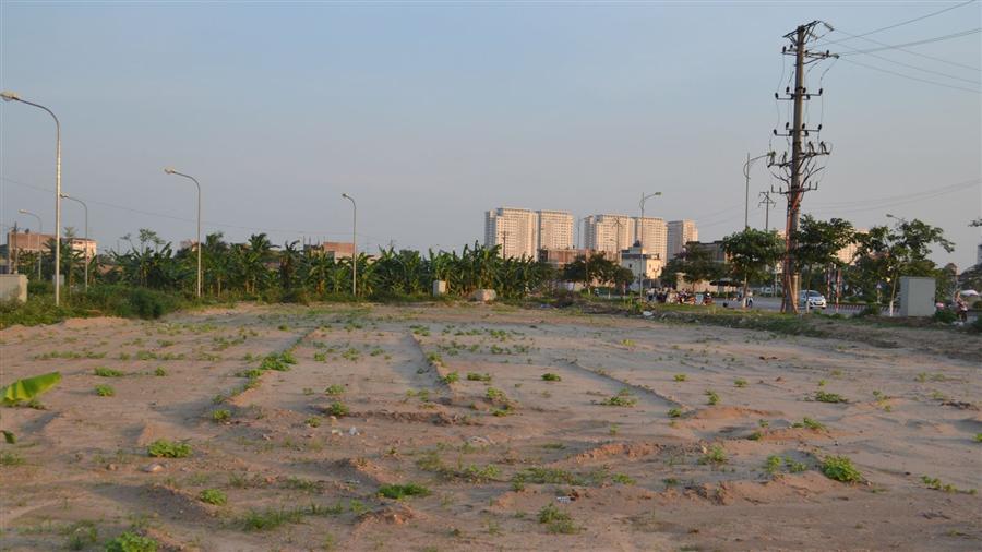 Đà Nẵng: Phê duyệt giá khởi điểm 2 khu đất lớn