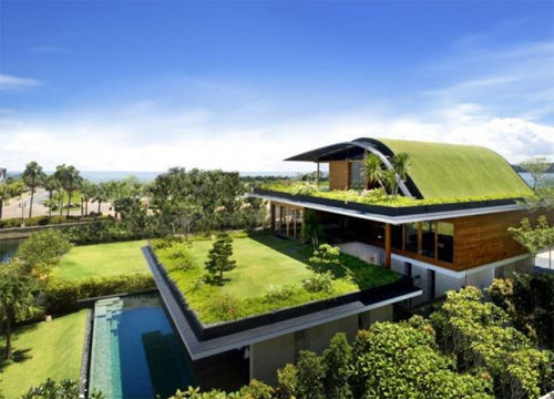 Ngôi nhà là một thiết kế của đất nước Singapore có phần mái cỏ như nối liền với sân cỏ liền kề.