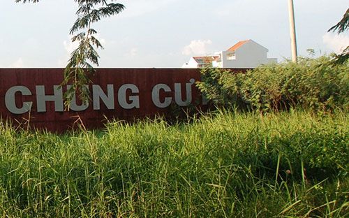 Cỏ dại mọc um tùm tại nhiều dự án BĐS trên địa bàn Hà Nội.