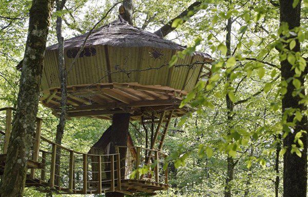 Nhà cây ở phía nam nước Pháp được xây dựng làm nhà nghỉ dưỡng sinh thái.