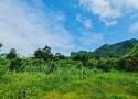 Chỉ hơn 1 tỷ sở hữu ngay 5.000m2 đất thổ view đẹp tại Kim Bôi, Hòa Bình