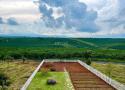 Bán đất vườn Đắk Nông từ 500 triệu/ sào 1000m2 sổ hồng riêng