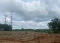 CHO THUÊ GẤP – ĐẤT ĐẸP GIÁ SIÊU TỐT – 45.000m² TẠI AN LONG