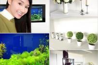 Căn hộ sang mới tậu của Người đẹp thế kỷ 21