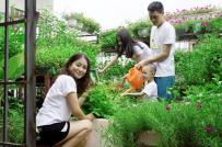 Vườn rau sạch trên sân thượng thêm gắn kết gia đình