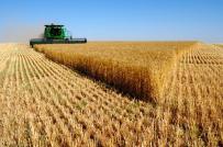 BĐS Nga: Người nước ngoài sở hữu 12 triệu ha đất nông nghiệp