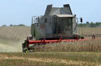 Ukraine: Sẽ rao bán 1 triệu ha đất công?