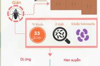 Infographic: Những vị trí dễ khiến nhà bếp thành ổ bệnh