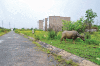 Tp.HCM: Công khai các dự án nhà ở, xử dự án treo