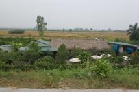 Hoài Đức, Hà Nội: Nhà xưởng ngang nhiên “mọc” kiên cố trên đất nông nghiệp