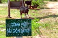 Nguyên nhân dự án Công viên Sài Gòn Safari chậm tiến độ