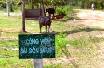 Điều chỉnh quy hoạch công viên Sài Gòn Safari