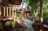 Gia chủ ở Thái Lan chờ vườn thành rừng rồi mới xây nhà