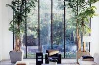 7 cách chống nắng cho nhà hướng Tây cực hữu hiệu