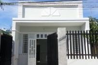 10 mẫu nhà cấp 4 đang 