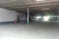 Tp.HCM: Hơn 11.500m2 