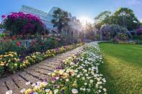 Mãi ngắm khu vườn đẹp như 