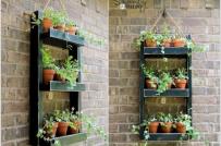 Tận dụng đồ cũ thiết kế vườn đứng đẹp hút mắt