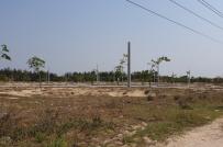 Dự án sân bay Long Thành: Giá đền bù đất cao nhất hơn 6,5 triệu đồng/m2