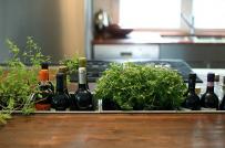 Vườn thảo mộc phòng bếp, với tay là có ngay loại rau gia vị bạn cần