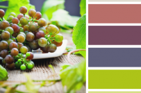 Phong thủy phòng bếp: Màu sắc nào mang lại năng lượng tốt nhất?