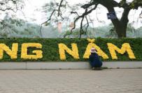 Hà Nội: Trang hoàng Hồ Gươm đón Tết
