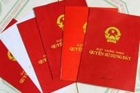 Giải quyết triệt để tình trạng 