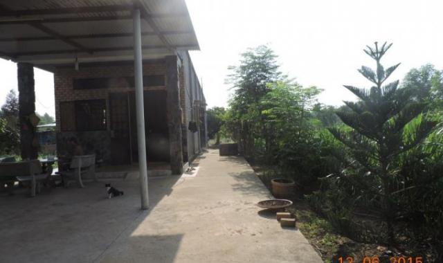 Bán đất nhà vườn gần giáo sứ Thiên Lộc, ấp Long Đức, Tam Phước, Biên Hòa