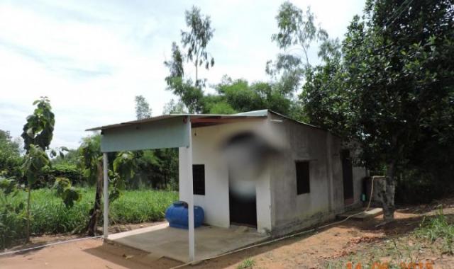 Bán đất nhà vườn gần giáo sứ Thiên Lộc, ấp Long Đức, Tam Phước, Biên Hòa