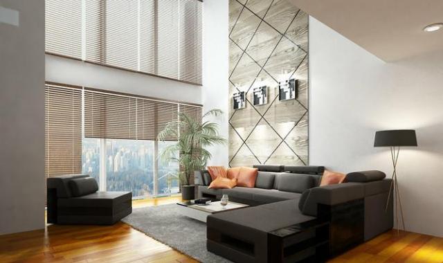 Bán căn hộ duplex 230m2 chung cư Platinum số 6 Nguyễn Công Hoan ...