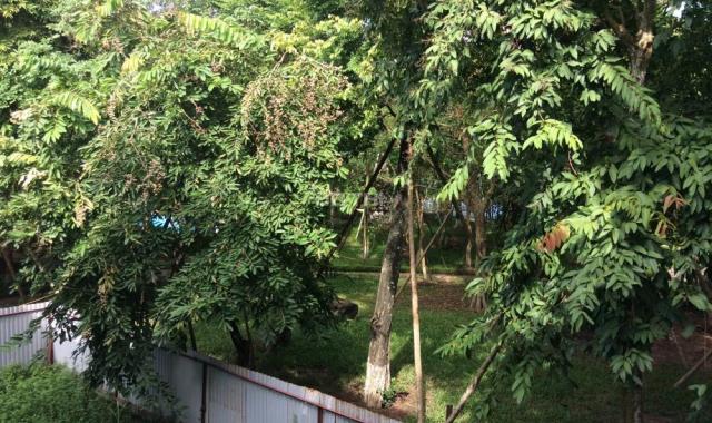 Tôi cần bán biệt thự đặc biệt mặt lõi tại Vườn Mai Ecopark, DT 1116m2 xây thô 3 tầng