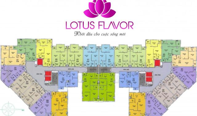 Lotus Flavor 915 triệu giá tốt nhất ngã 4 Âu Cơ - Lạc Long Quân - NH hỗ trợ