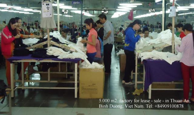Cho thuê xưởng may 5000m2, KV 10000m2, nằm trong khu công nghiệp VSIP1, Thuận An, Bình Dương