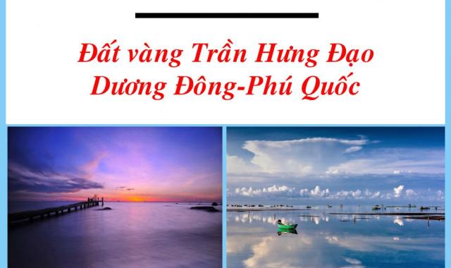 Bán đất nền tại đường Trần Hưng Đạo, Phú Quốc, Kiên Giang diện tích 3700m2, đã phân theo lô