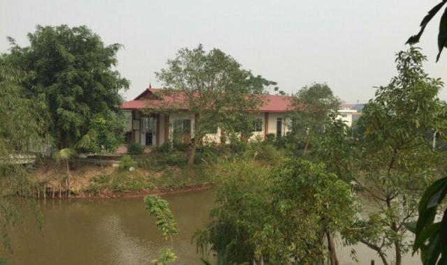 Bán trang trại sinh thái Thuộc xã Kim Lan - Huyện Gia Lâm - Hà Nội. DT 30.000m2(3Ha)