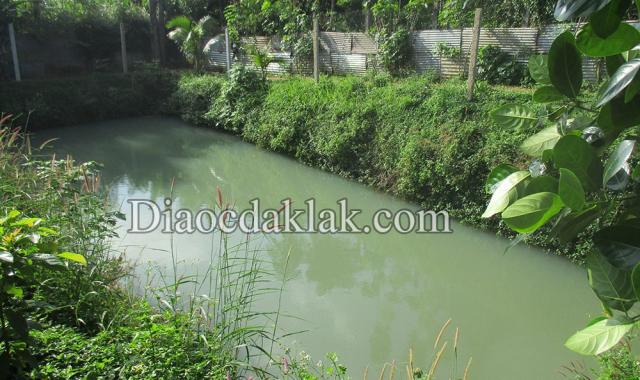 Nhà vườn 2,8 sào cuối Phan Huy Chú (kiểu nhà Đà Lạt) – có ao cá, vườn cây ăn trái giá hấp dẫn
