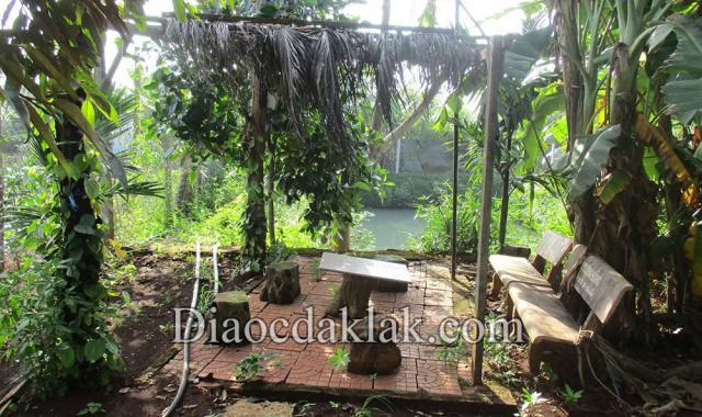 Nhà vườn 2,8 sào cuối Phan Huy Chú (kiểu nhà Đà Lạt) – có ao cá, vườn cây ăn trái giá hấp dẫn