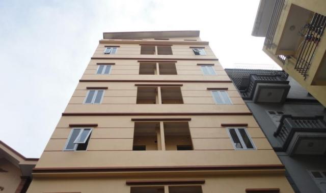 Chính chủ cho thuê căn hộ mini mới xây 100% tại ngõ Trần Duy Hưng